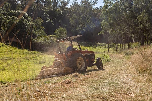 Happy Farm — around the farm