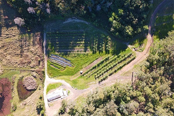 Happy Farm — around the farm