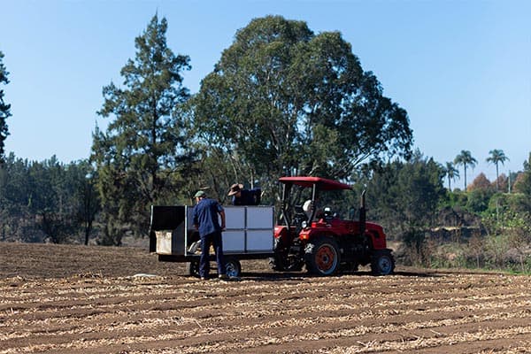 Happy Farm — around the farm