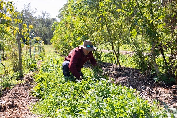 Happy Farm — around the farm