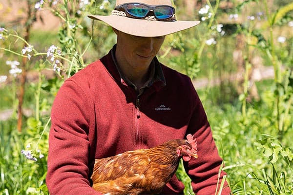 Happy Farm — around the farm